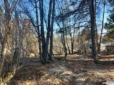 There's a view through those trees...