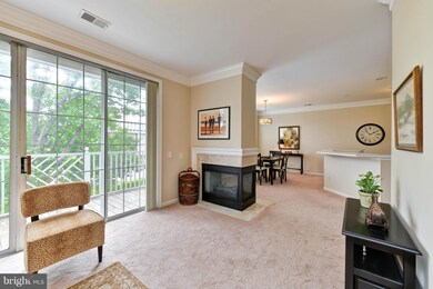 1724 Osage St unit 301, Alexandria, VA 22302 - photo 4