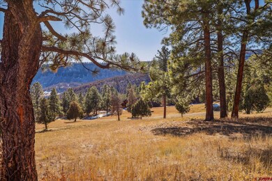 Parcel F Laughing Dog Ln, Durango, CO 81301 - photo 7