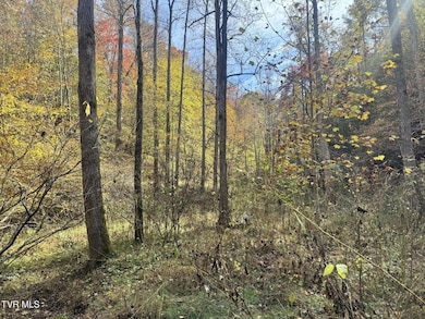 150 Little Branch Rd, Flag Pond, TN 37657 - photo 7