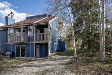 602 Ryan Gulch Rd unit B, Silverthorne, CO 80498 - photo 3