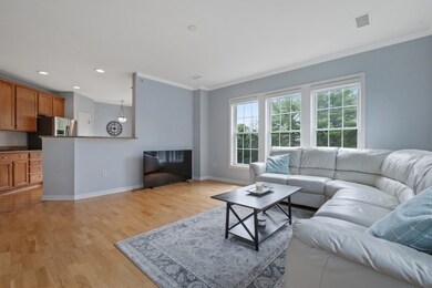 Wellington Crossing unit 409, Waltham, MA 02452 - photo 4