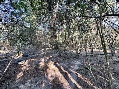 00 Mcdaniel Dr, Magnolia, TX 77354 - photo 5