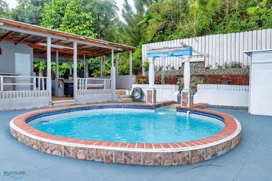 1 4 Hm Street 146 Route 608 Km 6 Ciales Pr 00638 unit 1, Ciales, PR 00638 - photo 6