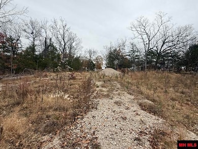 002-10735-000 Wildwood Cir, Mountain Home, AR 72653 - photo 2