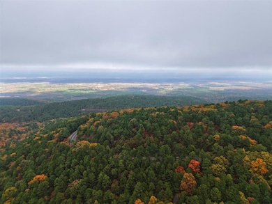 4179 Lafayette, Talihina, OK 74571 - photo 5