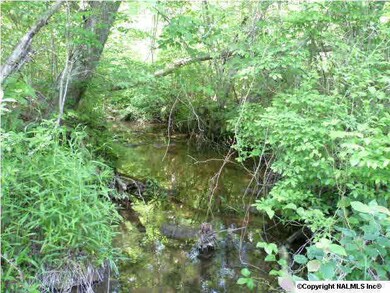 Stream