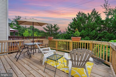 13821 Laura Ratcliff Ct, Centreville, VA 20121 - photo 7