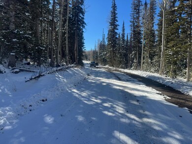 0 Falcon Ct unit CBME unit c lots 68, Brian Head, UT 84719 - photo 4