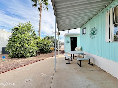Patio & mature citrus trees