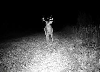 140 County Road 5131, Booneville, MS 38829 - photo 4