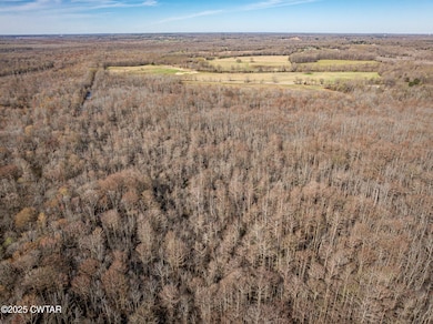 0 Lavinia Rd, Medina, TN 38355 - photo 7