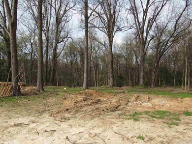 0 Dan Ave, Jonesboro, AR 72401 - photo 5