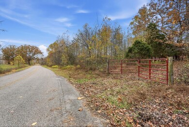 0 Vaughn Rd, Indian Mound, TN 37079 - photo 5