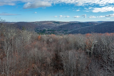 0 Swaller Hill Rd unit 24141946, Sharon, CT 06796 - photo 4