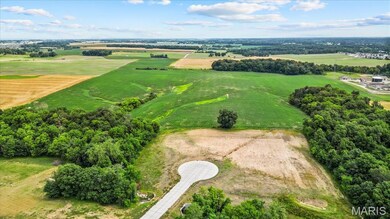 907 Christina Way, Waterloo, IL 62298 - photo 7