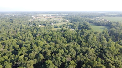 DJI_0186