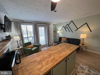 125 E Valley Point Ln unit 1108, Claysburg, PA 16625 - photo 3