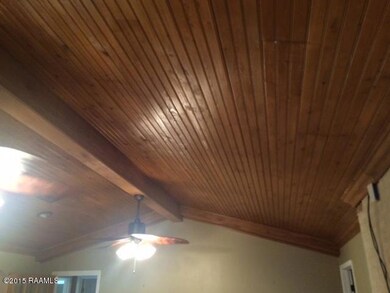 Den Ceiling Detail