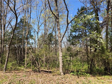 0 Burghead Dr unit 1144405, Bella Vista, AR 72715 - photo 2