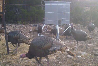 9125 County Road 450, Rocksprings, TX 78880 - photo 4