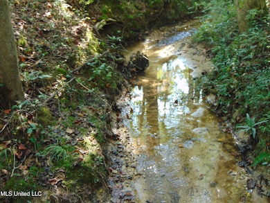 1015 Tarver Ln, Wesson, MS 39191 - photo 5