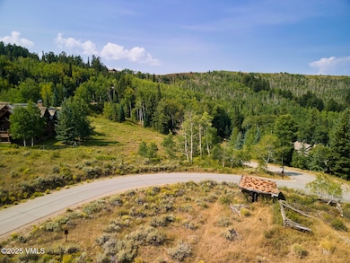284 Settlers Loop, Edwards, CO 81632 - photo 4