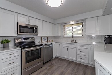 Kitchen with stainless steel appliances, white cab