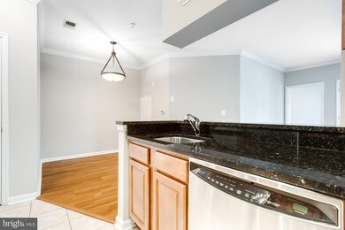 4550 Strutfield Ln unit 2216, Alexandria, VA 22311 - photo 6