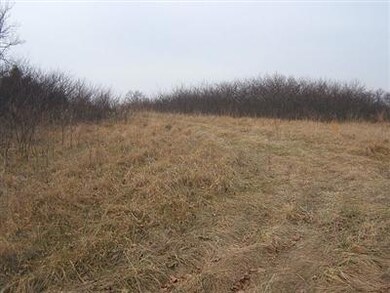 0 State Highway 248 unit 11101535, Jenkins, MO 65605 - photo 5