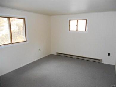 87 Iroquois Rd, Albrightsville, PA 18210 - photo 5