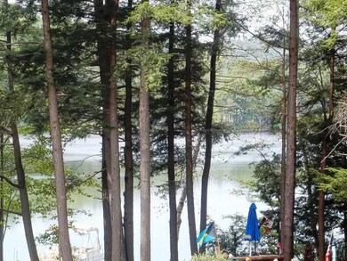 49 Briggs Ln, Livermore, ME 04253 - photo 4