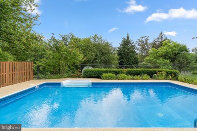 1203 Ednor Rd, Silver Spring, MD 20905 - photo 7