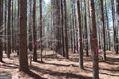 0 Jackson Gin Rd unit 10469996, Harrison, GA 31035 - photo 2