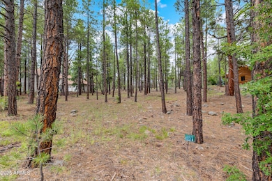 3781 Griffiths Spring unit 451, Flagstaff, AZ 86015 - photo 2