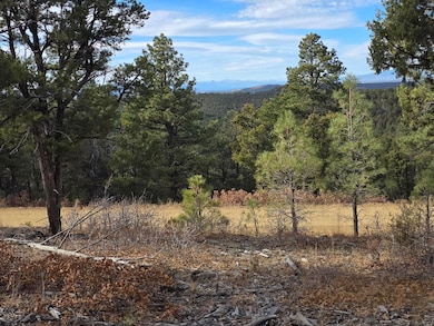 0 Rugby Mines Rd unit 138, Aguilar, CO 81020 - photo 2