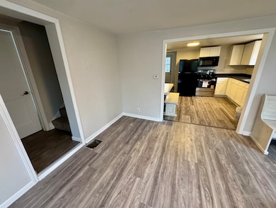 225 N Randolph St, Princeton, IL 61356 - photo 4