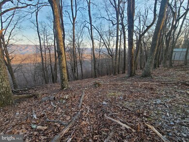 LOT 2 High Knob, Old Fields, WV 26845 - photo 3