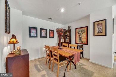 4800 Coyle Rd unit 201, Owings Mills, MD 21117 - photo 4