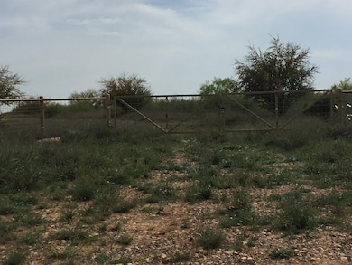 0 Farm To Market Road 468, Cotulla, TX - photo 3