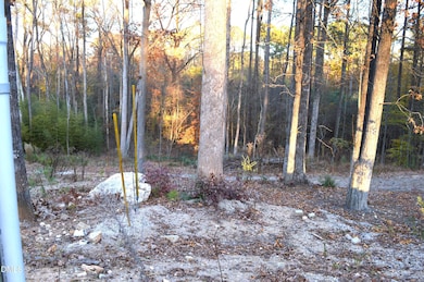 810 SW Maynard Rd, Cary, NC 27511 - photo 6