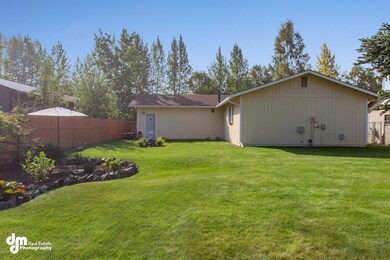 Backyard_8682-FULL