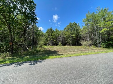 L18.11 Old Kings Rd, New Baltimore, NY 12087 - photo 3