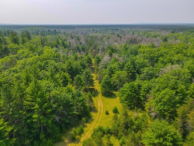 DJI_0431