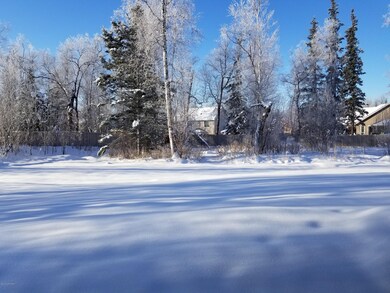 Backyard1
