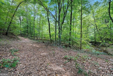 857 Jack Page Dr, Canton, GA 30115 - photo 4