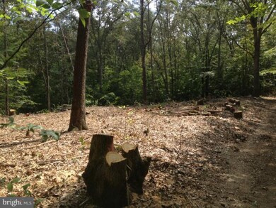 0 Doke Ln unit 1004155414, Fredericksburg, VA 22405 - photo 2