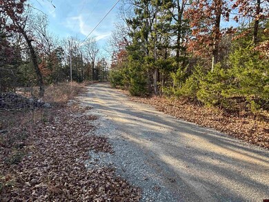 555-00002-000 Marion County 3063, Yellville, AR 72687 - photo 6