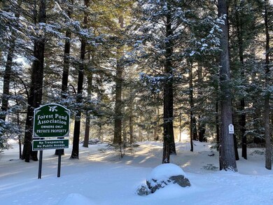 Lot R06-34B Forest Pond Rd, New Hampton, NH 03256 - photo 5