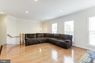 25448 Schooley Mill Terrace, Chantilly, VA 20152 - photo 7